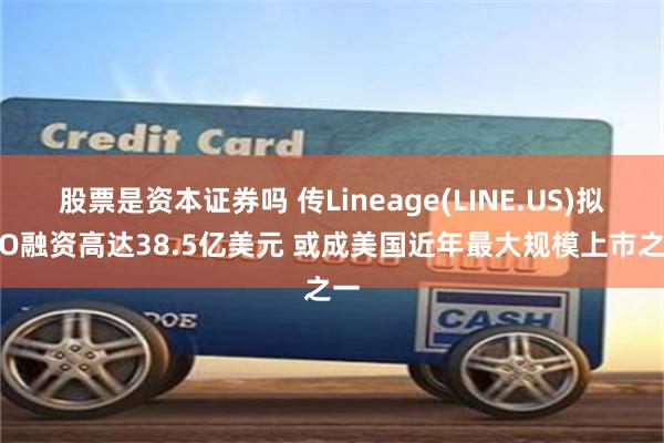 股票是资本证券吗 传Lineage(LINE.US)拟IPO融资高达38.5亿美元 或成美国近年最大规模上市之一