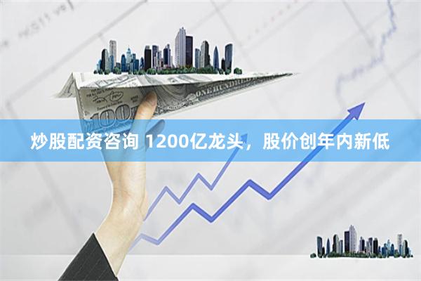 炒股配资咨询 1200亿龙头，股价创年内新低