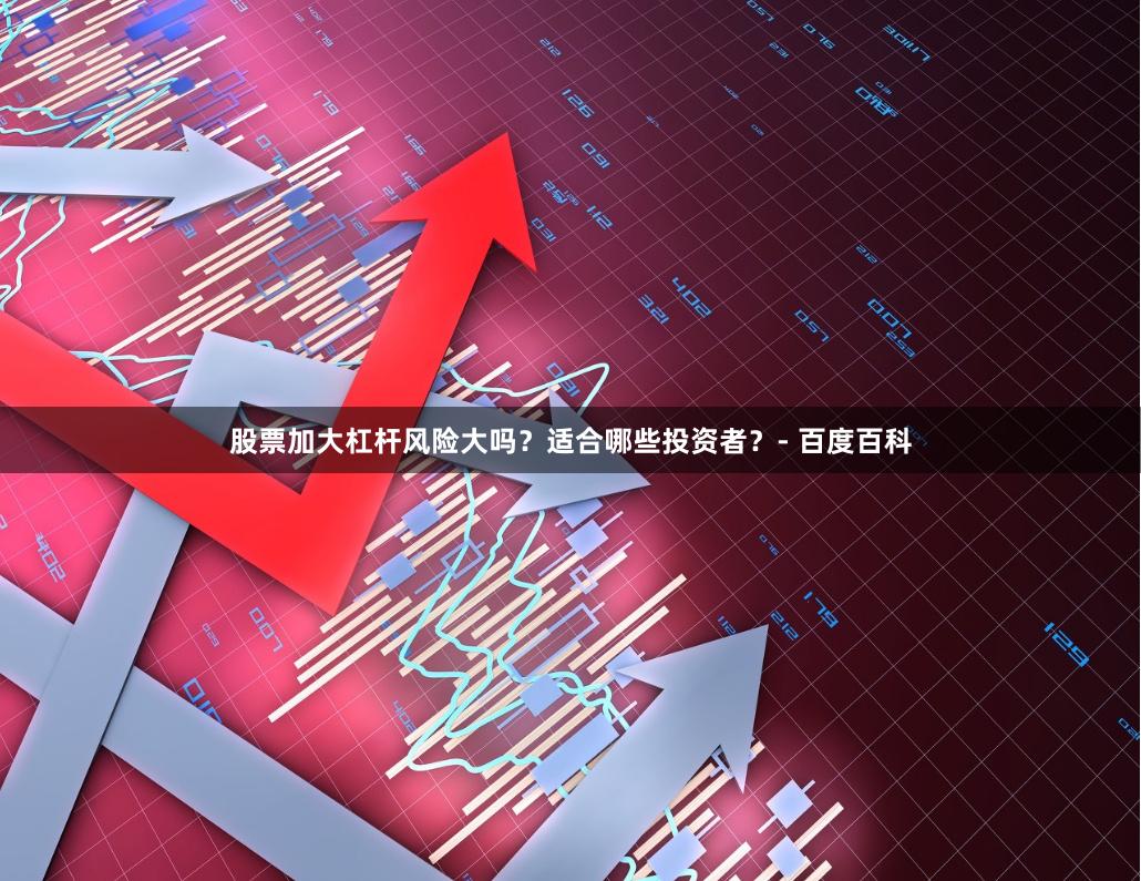 股票加大杠杆风险大吗？适合哪些投资者？- 百度百科