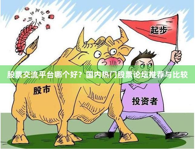 股票交流平台哪个好？国内热门股票论坛推荐与比较