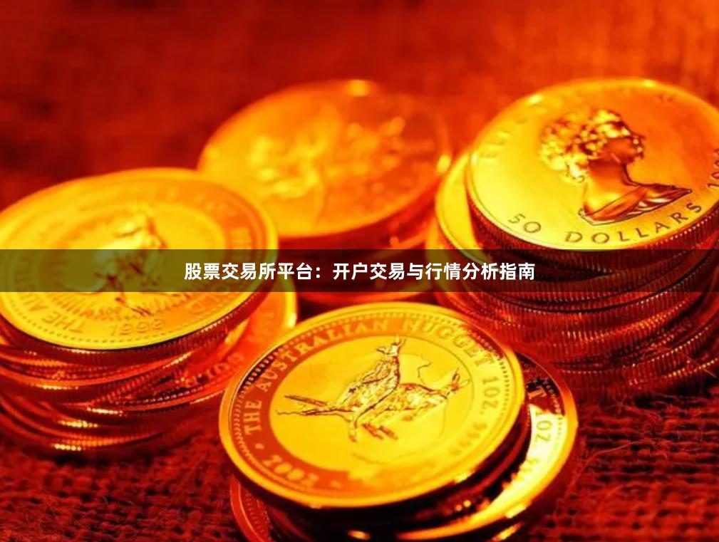 股票交易所平台：开户交易与行情分析指南