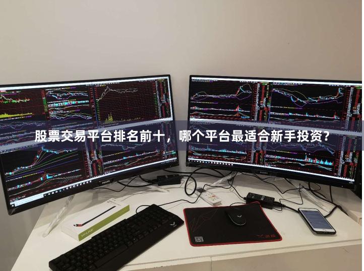 股票交易平台排名前十，哪个平台最适合新手投资？