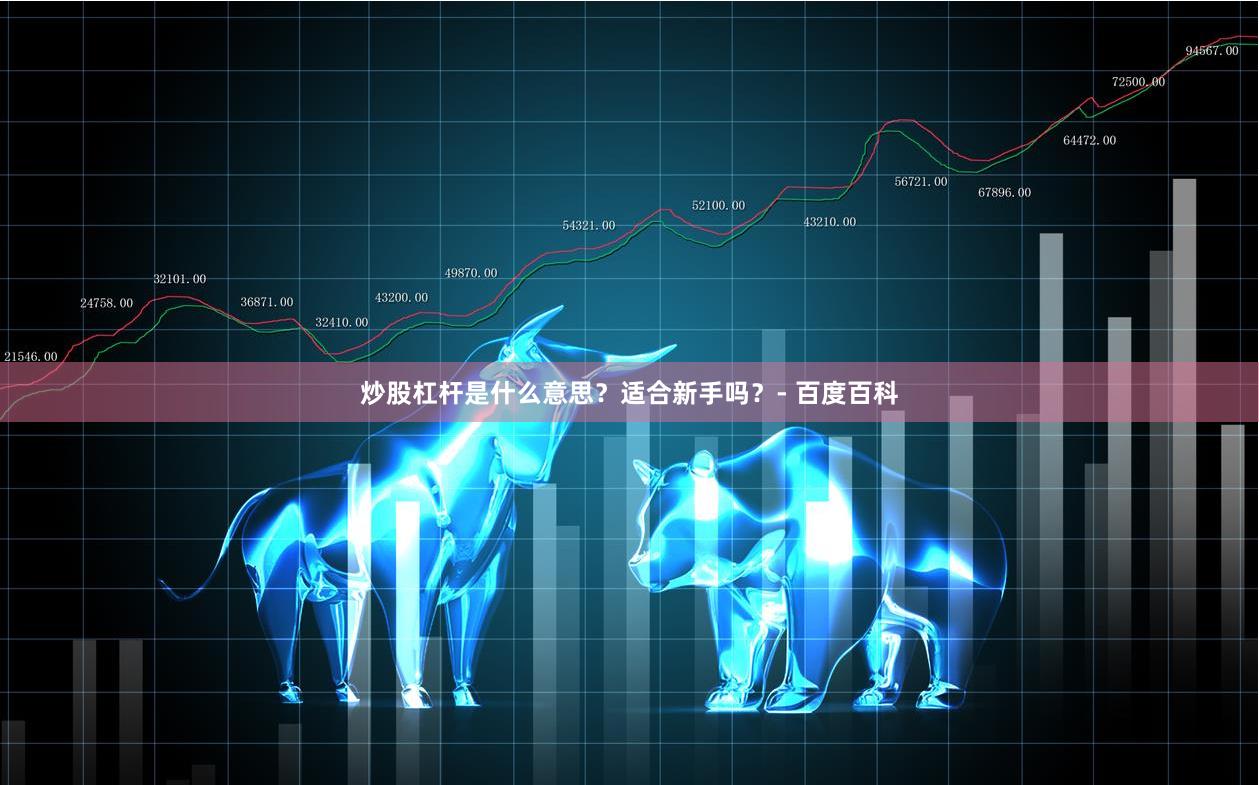 炒股杠杆是什么意思？适合新手吗？- 百度百科