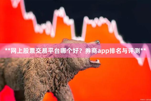 **网上股票交易平台哪个好？券商app排名与评测**
