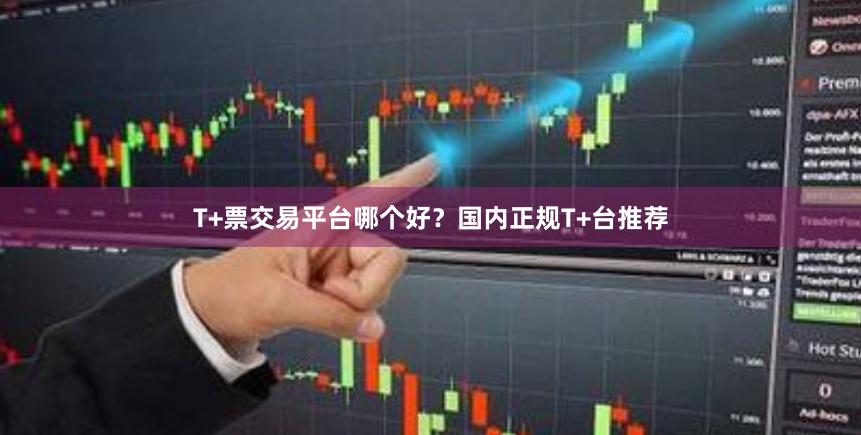 T+票交易平台哪个好?国内正规T+台推荐