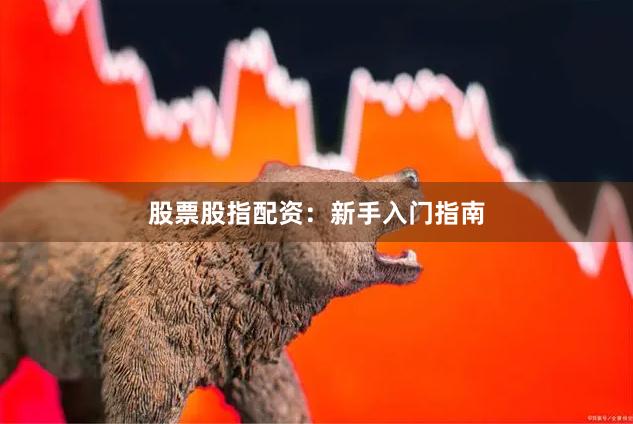 股票股指配资：新手入门指南